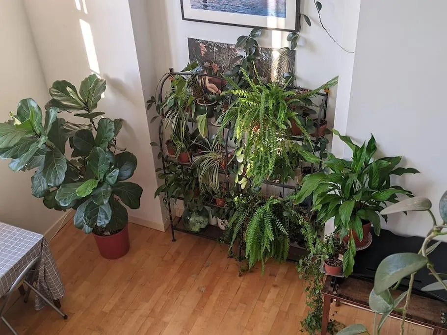 Spacious, Historic Schoolhouse Apartment London